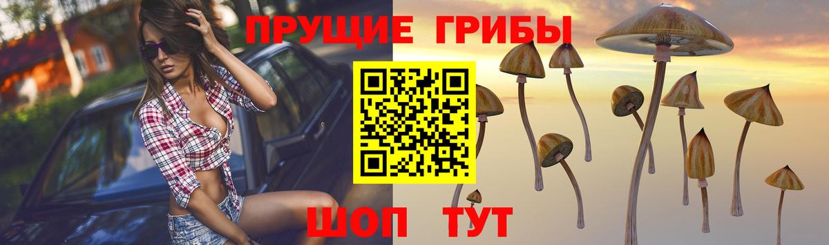 Галлюциногенные грибы ЛСД  Вход с VPN  где купить наркоту  Богородицк 